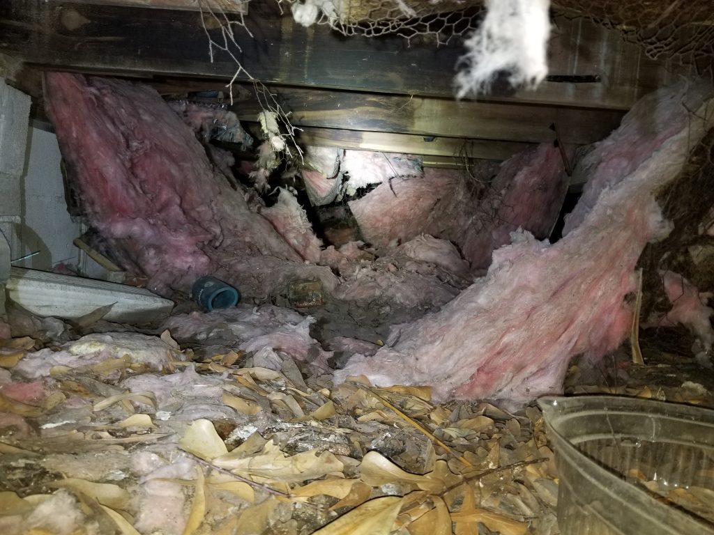 restricted visibility and access in a crawlspace during a home inspection